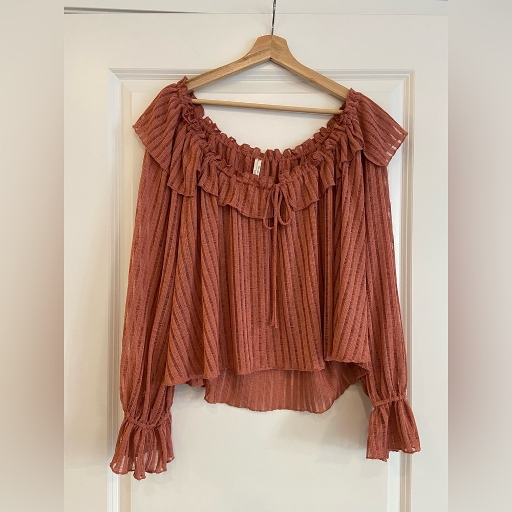 #5 Anthropologie long sleeve sheer striped crop blouse in size large - Picture 6 of 7